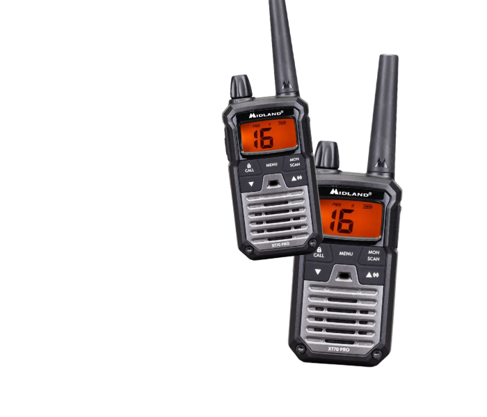 Real-time collaboration